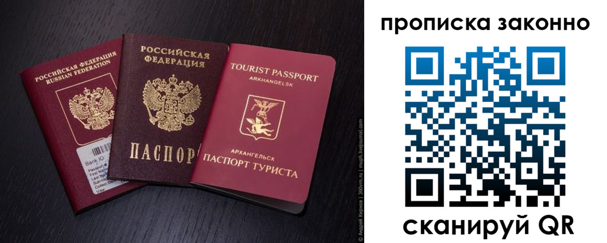 прописка штамп в Новозыбкове